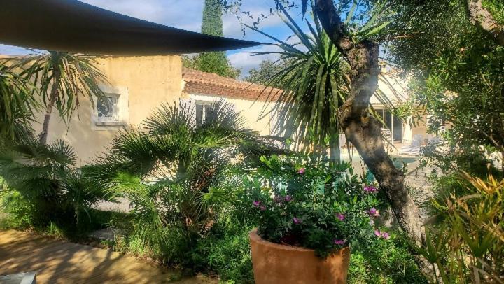Le Clos Olives Comps  Esterno foto