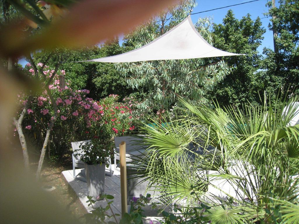 Le Clos Olives Comps  Camera foto