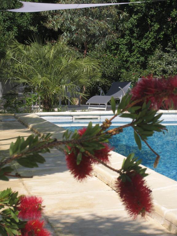 Le Clos Olives Comps  Camera foto